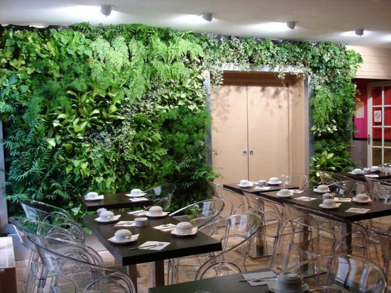室内植物(wù)墙