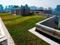 西安软件园屋顶绿化理(lǐ)水系统 (2)